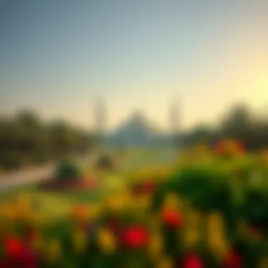 Magnificent Exploring the Gardens of Mohammed bin Rashid