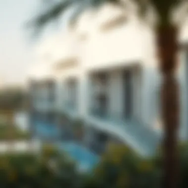 Magnificent Exploring the Zayed Housing Program in Dubai