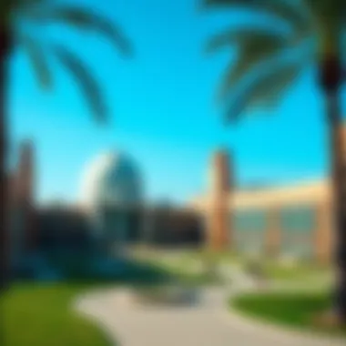 Magnificent Top Schools in Dubai: An In-Depth Exploration Magnificent Top Schools in Dubai: An In-Depth Exploration