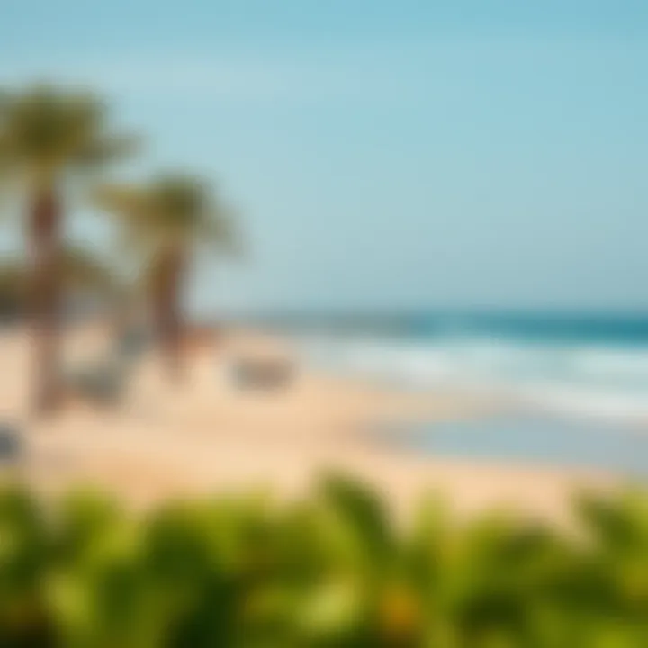 A serene beach in Dubai highlighting recreational opportunities