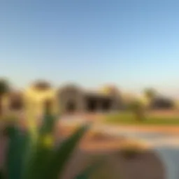 An In-Depth Exploration of Arabian Ranches 3 Introduction
