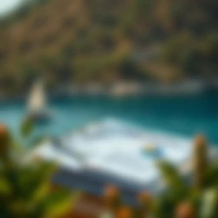 Investor application requirements