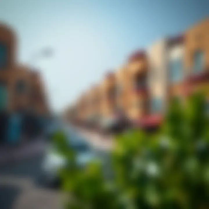 A bustling neighborhood in Al Sadaa, reflecting local amenities and lifestyle