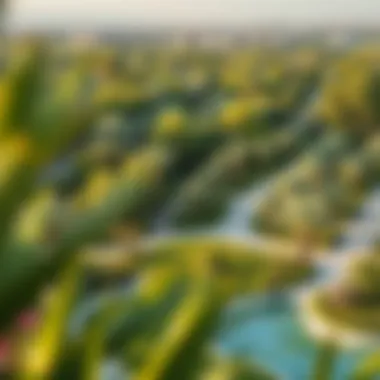 Overview of lush green spaces in Arabella community