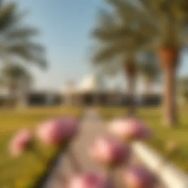 Exploring Dubai Hills Golf Grove: An Insightful Analysis Summary
