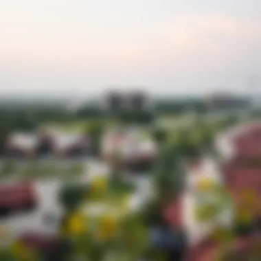 Community amenities and green spaces
