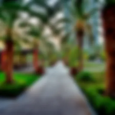 Community Features and Parks in Khalifa City Local community features and parks in Khalifa City