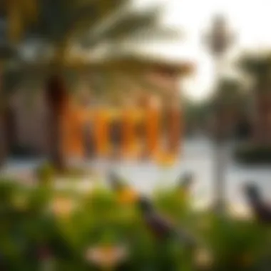 Notable Exploring the Gardens of Mohammed bin Rashid