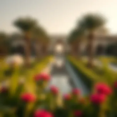 Exploring the Gardens of Mohammed bin Rashid Summary