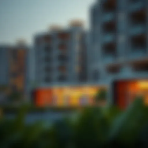 Exploring the Zayed Housing Program in Dubai Introduction