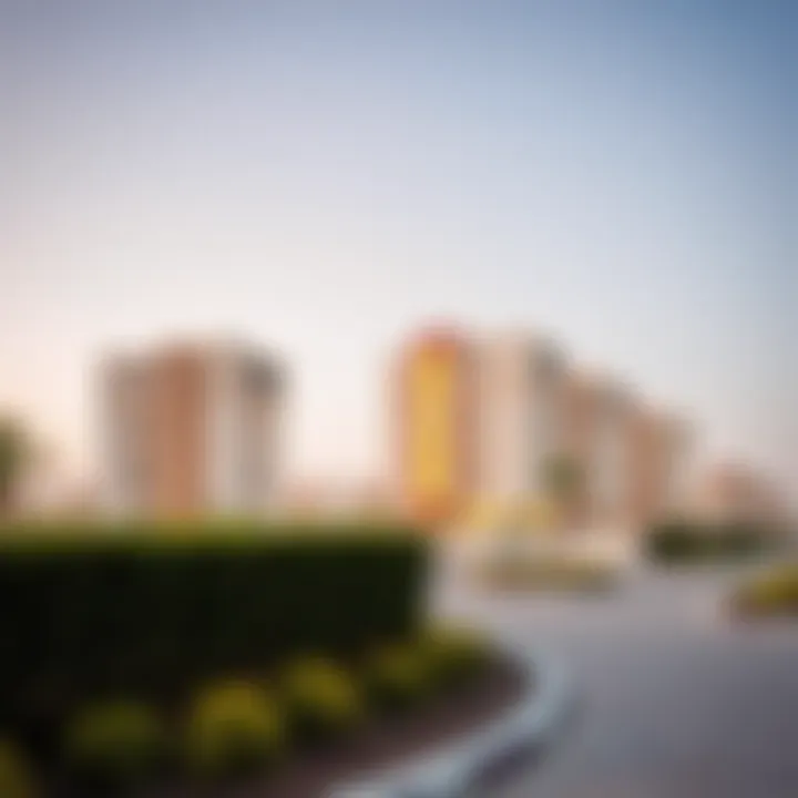 Notable Exploring the Zayed Housing Program in Dubai