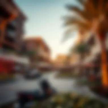 Navigating Discovery Gardens: A Comprehensive Guide to the Landscape of Dubai's Community Introduction