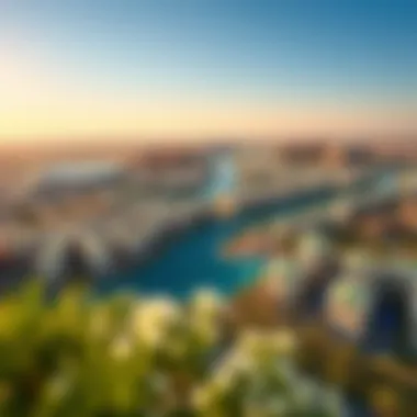 Aerial perspective of Silicon Oasis community