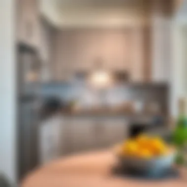 Well-equipped kitchen in the suite