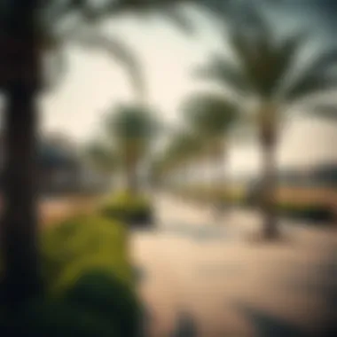 Social amenities in اسكان زايد, with parks and recreational areas